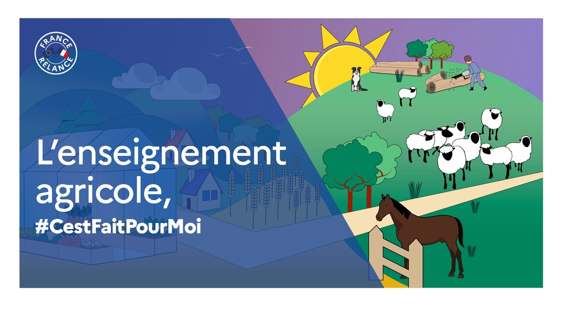 CFA-CFPPA65 formation apprentissage adulte alternance CAP BAC BTS BPREA tarbes vic en bigorre lannemezan agriculture berger vacher transhumant responsable d'entreprise agricole travaux forestiers technicien rivière foresterie jardinier paysagiste horticulture aménagement paysager